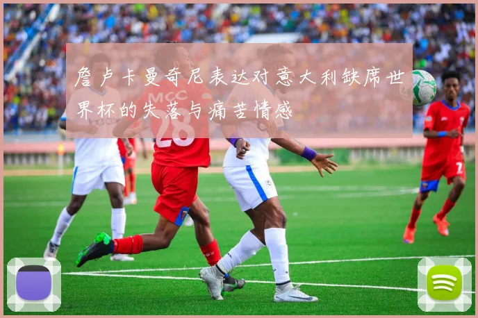 詹卢卡曼奇尼表达对意大利缺席世界杯的失落与痛苦情感