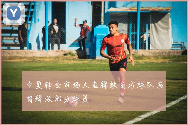 今夏转会市场大鱼稀缺南方球队或将释放部分球员