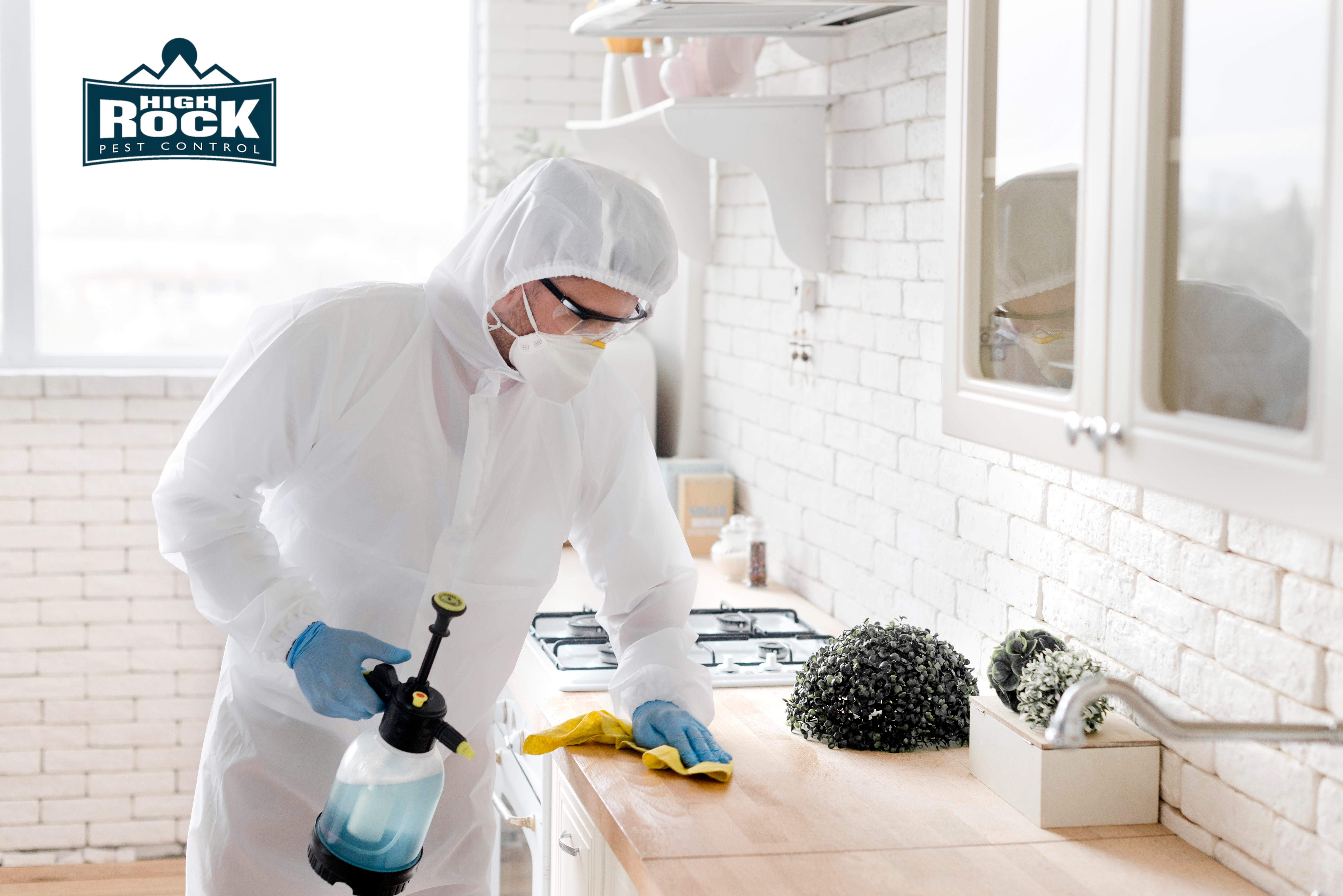 How Bed Bug Exterminators Handle Severe Infestations in Cleveland